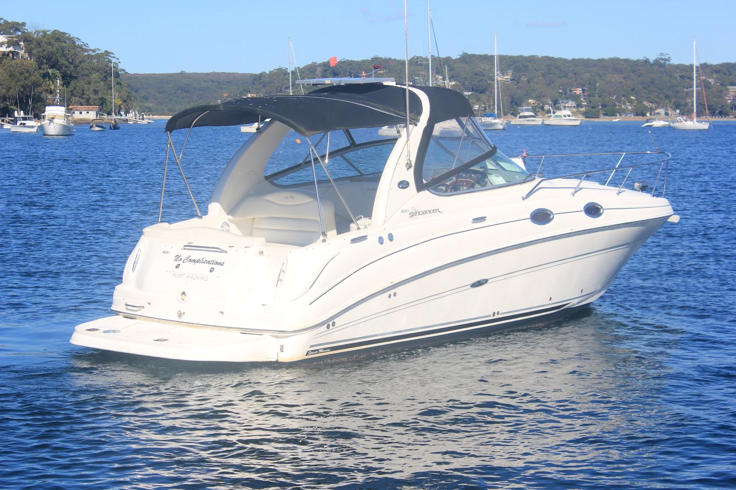 Sea Ray 315
